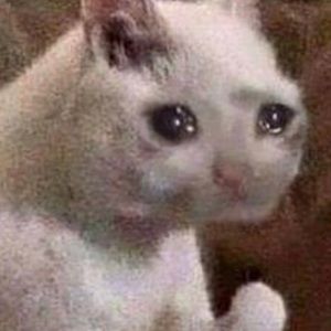 Meet your Posher, Akina